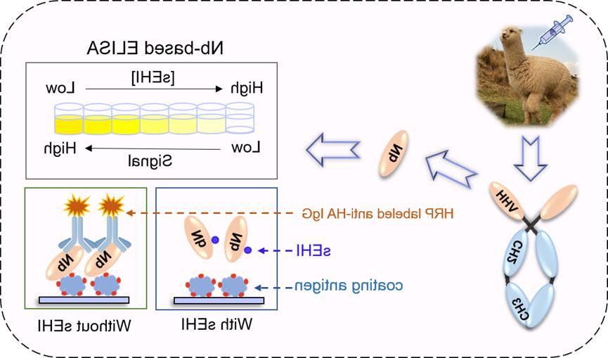 D808